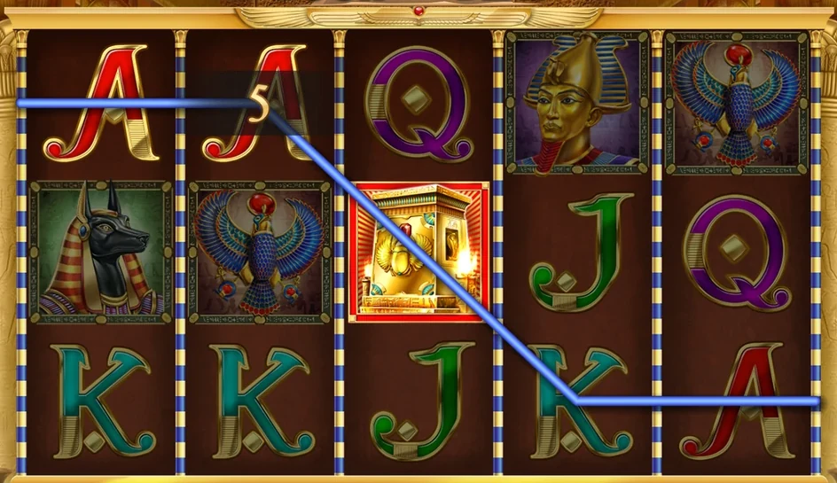 Book of Dead with payline 8 highlighted across the reels after a five-coin win